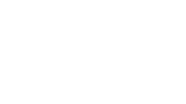 logo of leiden.